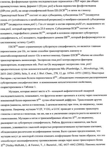 Мутантная iib/iic субъединица глюкозоспецифической пермеазы системы pts, фрагмент днк, бактерия, принадлежащая к роду escherichia, - продуцент l-треонина и способ получения l-треонина (патент 2335536)