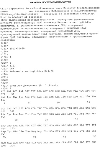 Нуклеиновая кислота, кодирующая функционально активную рекомбинантную iga1 протеазу neisseria meningitidis серогруппы b, рекомбинантная плазмидная днк, содержащая нуклеотидную последовательность, кодирующую активную iga1 протеазу, штамм-продуцент, содержащий плазмидную днк, продуцирующий зрелую форму iga1 протеазы, рекомбинантная ig протеаза neisseria meningitidis серогруппы в, способ получения зрелой формы iga1 протеазы, обладающей иммуногенными и протективными свойствами (патент 2453599)