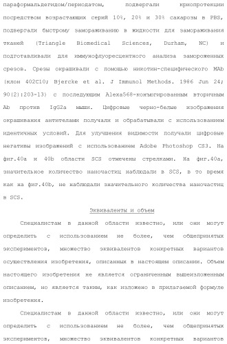 Включение адъюванта в иммунонанотерапевтические средства (патент 2496517)