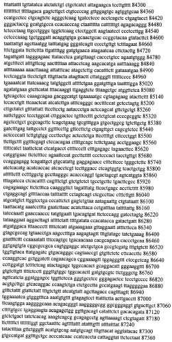 Модуляция экспрессии гентингтина (патент 2562861)