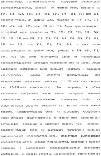 Гены corynebacterium glutamicum, кодирующие белки метаболических путей (патент 2306339)