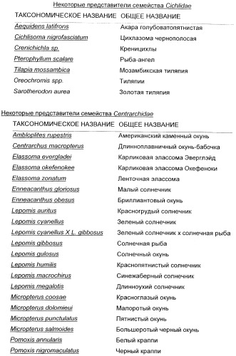 Рекомбинантные аттенуированные микроорганизмы clostridium и вакцина (патент 2445364)