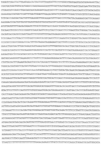 Применение s1p (патент 2362565)