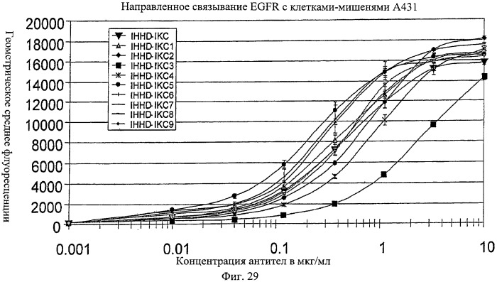 Антигенсвязывающие молекулы, которые связывают рецептор эпидермального фактора роста (egfr), кодирующие их векторы и их применение (патент 2457219)