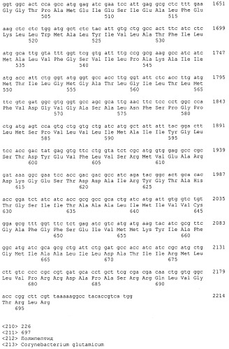 Гены corynebacterium glutamicum, кодирующие белки резистентности и толерантности к стрессам (патент 2303635)
