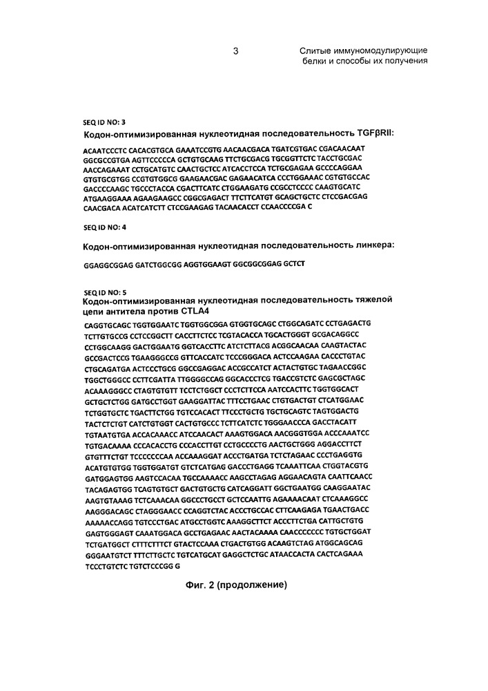 Слитые иммуномодулирующие белки и способы их получения (патент 2662991)