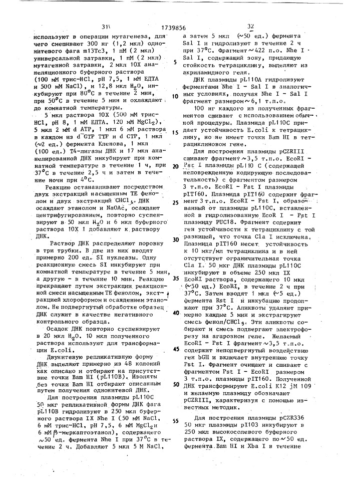 Способ конструирования рекомбинантной плазмидной днк, кодирующей фермент деацетоксицефалоспорин с синтетазу/деацетилцефалоспорин с синтетазу (патент 1739856)