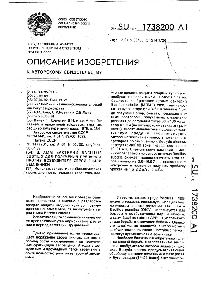 Штамм бактерий bacillus suвтilis для получения препарата против возбудителя серой гнили земляники (патент 1738200)