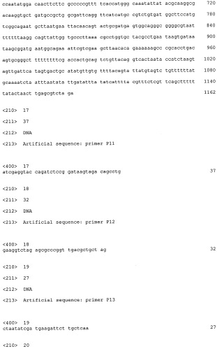 Способ получения l-треонина и l-аргинина с использованием бактерии, принадлежащей к роду escherichia, в которой инактивирован ген cpxr (патент 2320723)