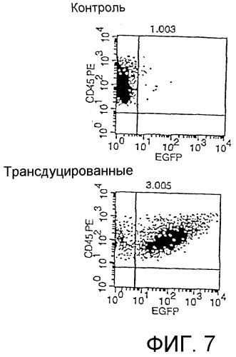 Способы стабильной трансдукции клеток вирусными векторами (патент 2280074)