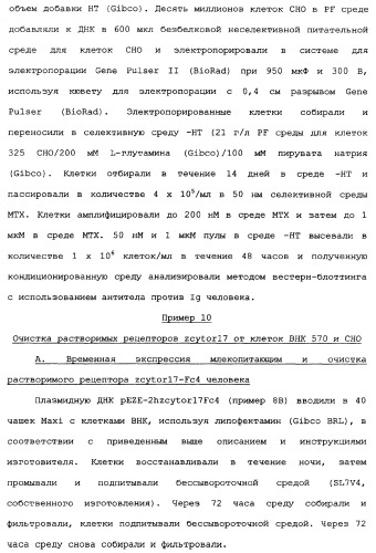 Новый лиганд рецептора цитокина zcytor17 (патент 2360923)