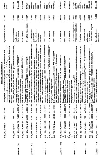 Гены corynebacterium glutamicum, кодирующие белки метаболических путей (патент 2306339)