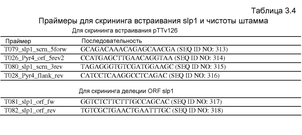 Клетка нитчатых грибов с дефицитом протеаз и способы ее применения (патент 2645252)