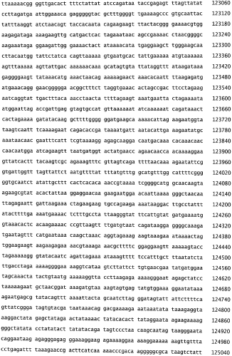 Бактериофаг, обладающий активностью против pseudomonas aeruginosa, белки бактериофага и способы их применения (патент 2580248)