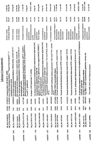 Гены corynebacterium glutamicum, кодирующие белки, участвующие в синтезе мембран и мембранном транспорте (патент 2312145)