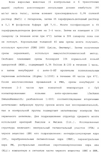 Комбинация агонистов альфа 7 никотиновых рецепторов и антипсихотических средств (патент 2481123)