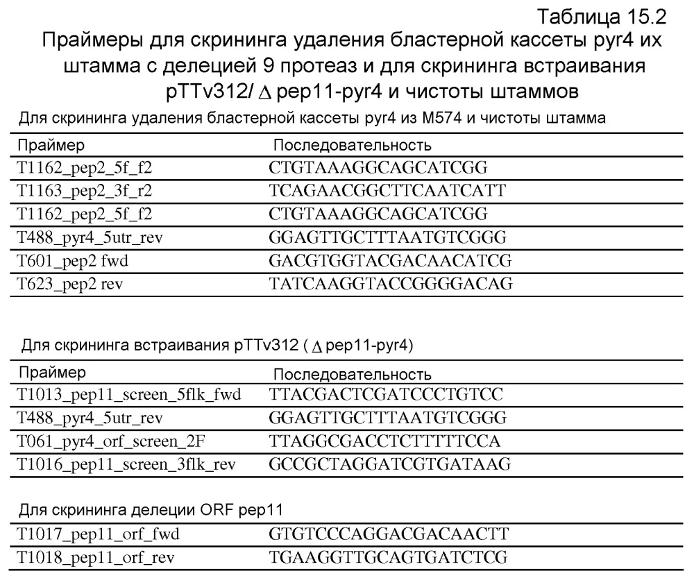 Клетка нитчатых грибов с дефицитом протеаз и способы ее применения (патент 2645252)