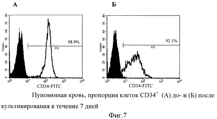 Способ увеличения количества гемопоэтических недифференцированных стволовых клеток пациента ex vivo (патент 2360965)