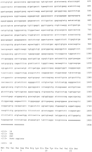 Пептиды cdc45l и вакцины, включающие таковые (патент 2562160)