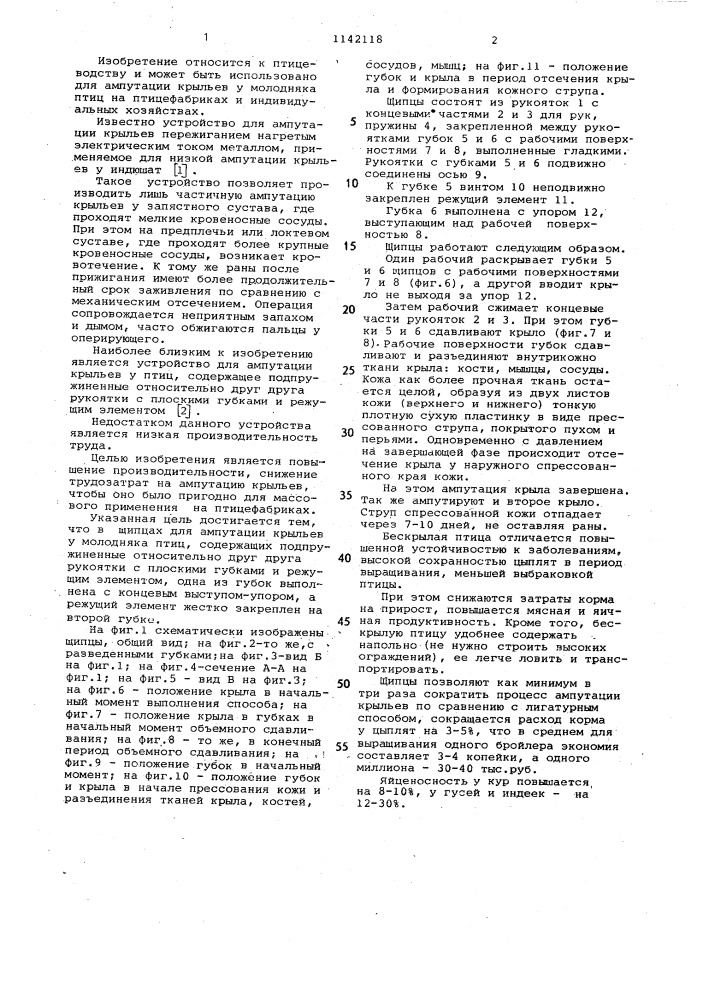 Щипцы для ампутации крыльев у молодняка птиц (патент 1142118)