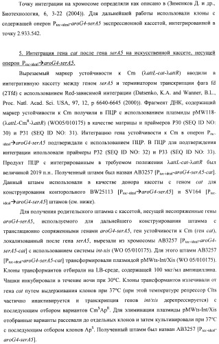 Способ конструирования оперонов, содержащих трансляционно сопряженные гены (патент 2411292)