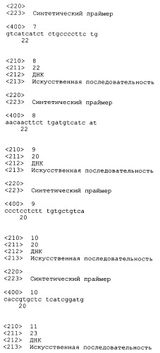 Трансгенные копытные животные, имеющие пониженную активность прионного белка, и их применения (патент 2384059)