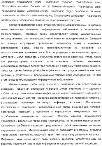 Мотивы последовательности рнк в контексте определенных межнуклеотидных связей, индуцирующие специфические иммуномодулирующие профили (патент 2435851)