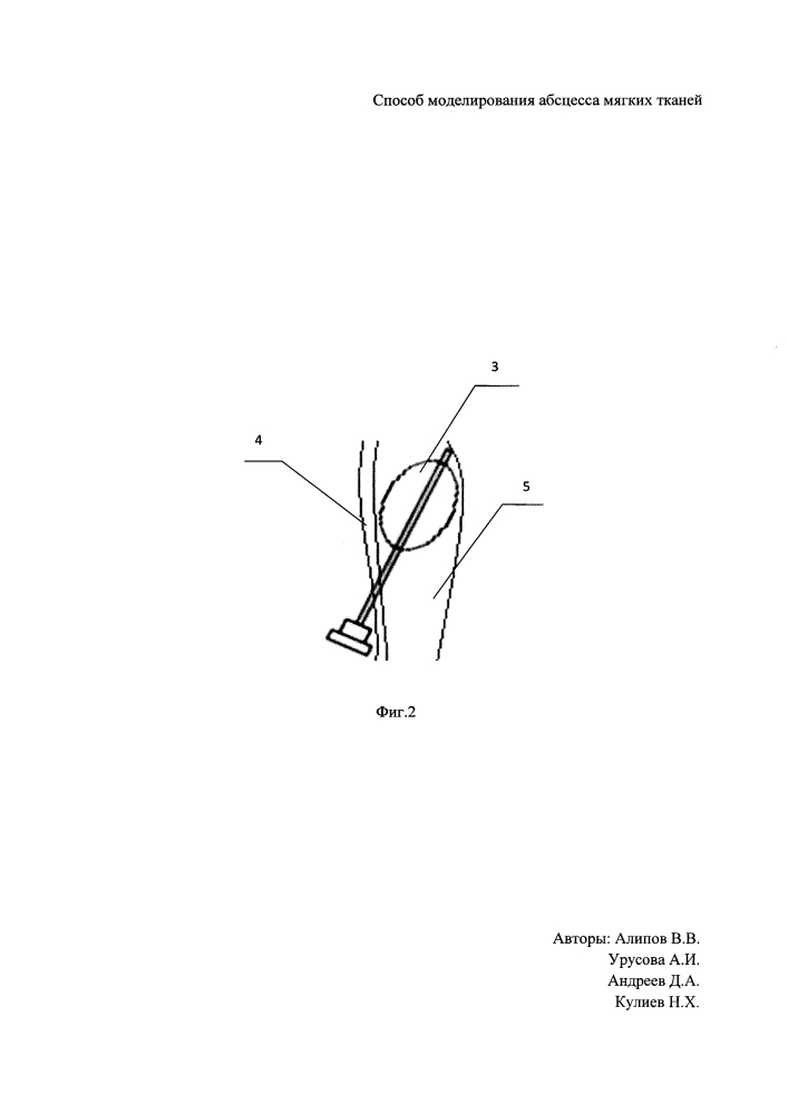 Способ моделирования абсцесса мягких тканей (патент 2601378)