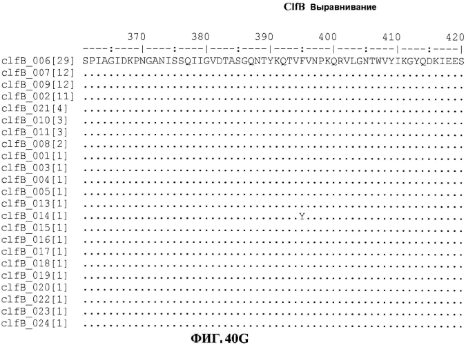 Стабильные иммуногенные композиции антигенов staphylococcus aureus (патент 2570730)