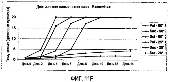 Микробиологически стабилизированное пиво (патент 2380400)