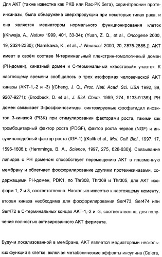 Гетероциклические амидные соединения как ингибиторы протеинкиназ (патент 2474580)