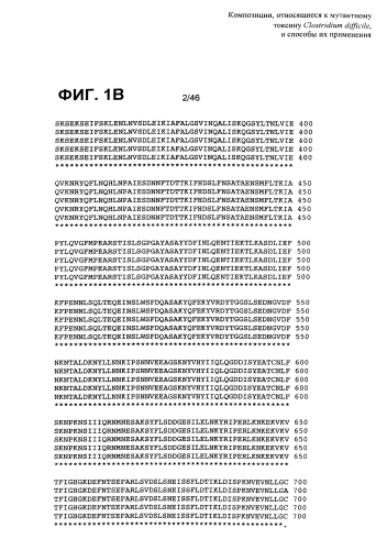 Композиции, относящиеся к мутантному токсину clostridium difficile, и способы их применения (патент 2592686)