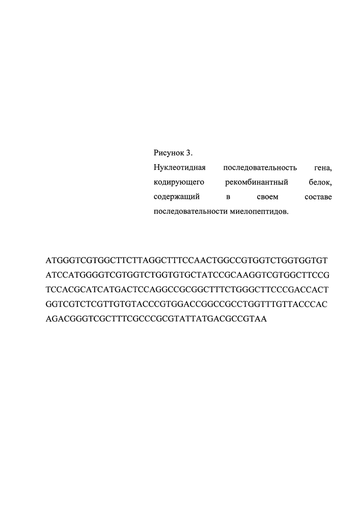 Способ получения биологически активных пептидов (патент 2601126)
