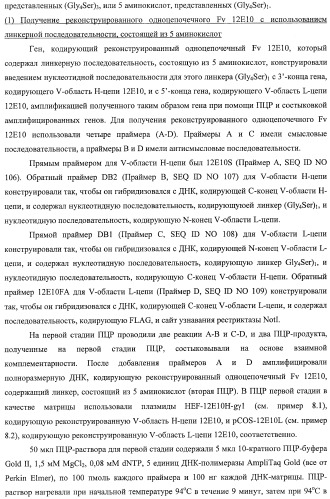 Агонистическое соединение, способное специфически узнавать и поперечно сшивать молекулу клеточной поверхности или внутриклеточную молекулу (патент 2430927)