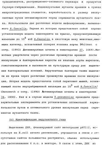 Vgc2 днк salmonella typhimurium, мутантная бактерия, обладающая пониженной способностью к адаптации к условиям окружающей среды, и способ ее получения (патент 2370541)