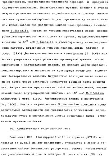 Vgc2 днк salmonella typhimurium, мутантная бактерия, обладающая пониженной способностью к адаптации к условиям окружающей среды, и способ ее получения (патент 2370541)