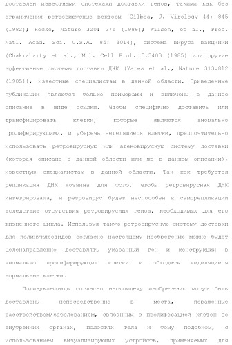 Слитые белки альбумина (патент 2369404)