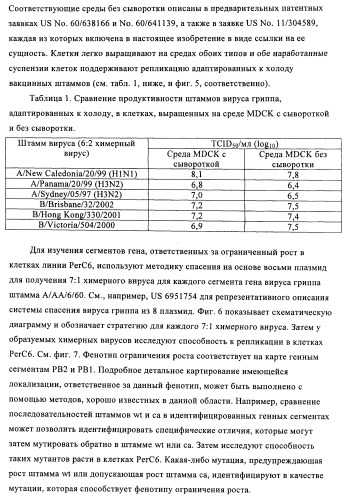 Способы и композиции для экспрессии антисмысловой вирусной рнк в клетках собаки (патент 2457250)