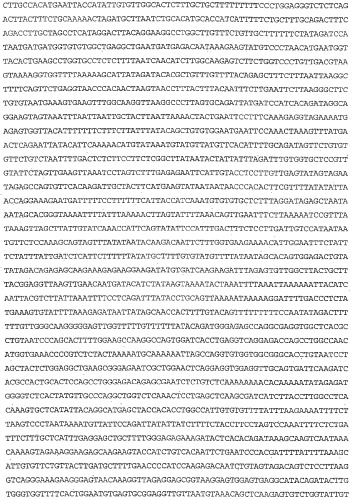 Применение s1p (патент 2362565)