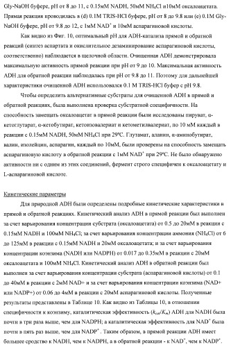 Бактерия семейства enterobacteriaceae - продуцент l-аспарагиновой кислоты или метаболитов, производных l-аспарагиновой кислоты, и способ получения l-аспарагиновой кислоты или метаблитов, производных l-аспарагиновой кислоты (патент 2472853)