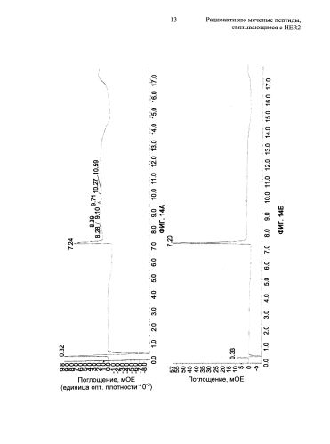 Радиоактивно меченые пептиды, связывающиеся с her2 (патент 2592685)