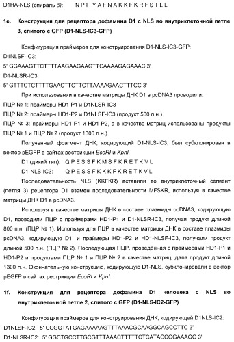 Способ идентификации соединений, взаимодействующих с трансмембранными белками (патент 2326166)
