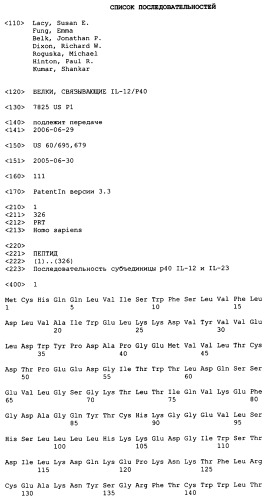 Белки, связывающие il-12/p40 (патент 2461571)