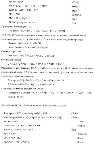 Способ продукции полезного метаболита (патент 2408731)