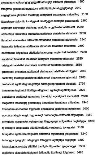 Днк, повышающая продуцирование белка, и ее применение (патент 2375450)