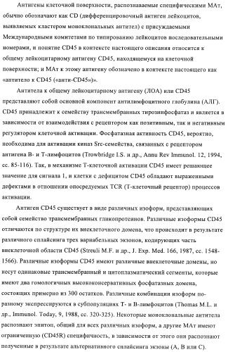 Связывающие молекулы, обладающие терапевтической активностью (патент 2386639)