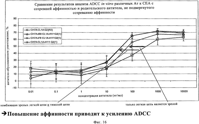 Гуманизированные моноклональные антитела к сеа с созревшей аффинностью (патент 2570554)