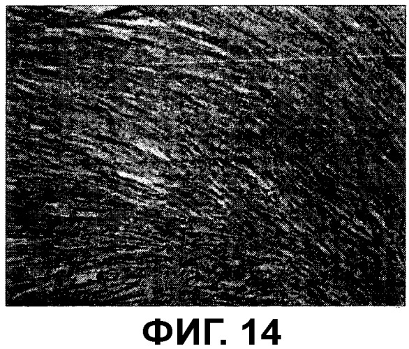 Композиция, содержащая частицы hcmv (патент 2505314)