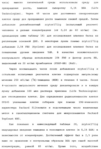 Новый лиганд рецептора цитокина zcytor17 (патент 2360923)