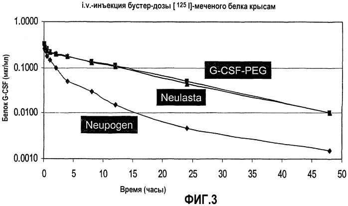 Гликопэгилированный гранулоцитарный колониестимулирующий фактор (патент 2400490)